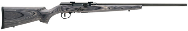 Savage Arms 47801 A17 Sporter Semi-Auto 17 WSM Caliber with 8+1 Capacity, 22" Barrel, Satin Black Metal Finish & Fixed Gray Laminate Stock Right Hand (Full Size)