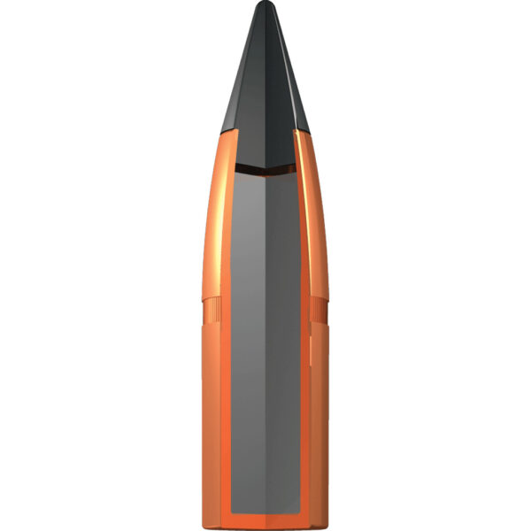 Winchester Deer Season XP Rifle Ammo 300 WSM 180 gr. 20 rd.